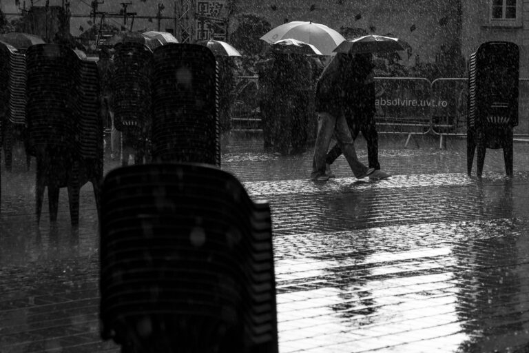 Photo by Cosnete Marian