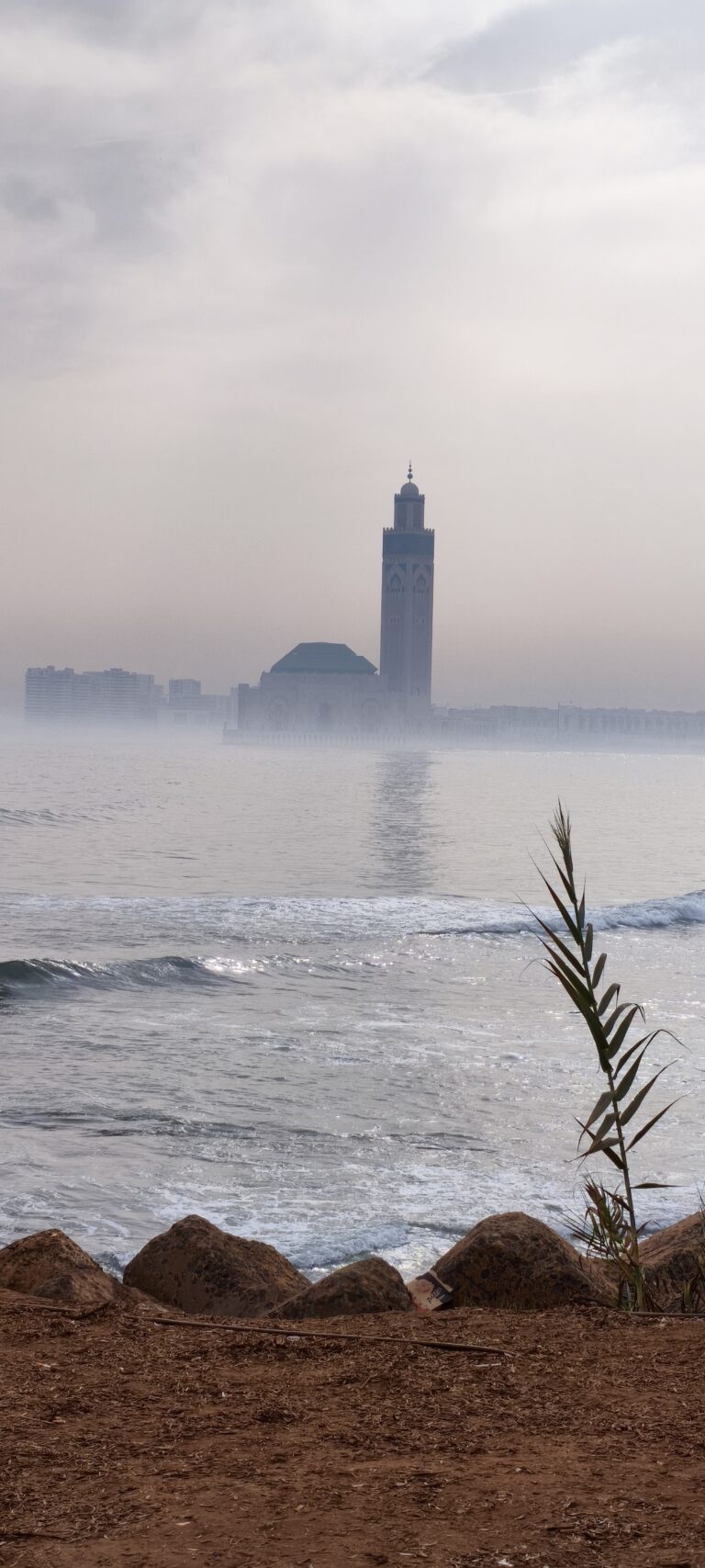 Photo by Jalil Daf
