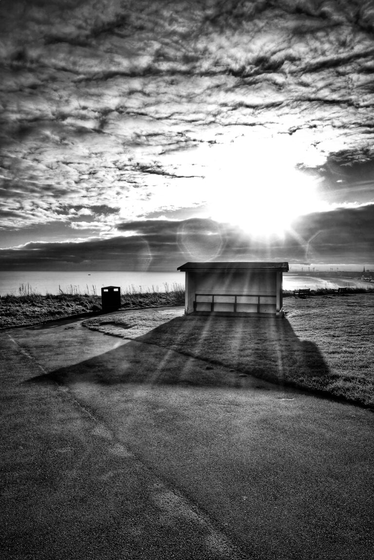 Photo by Paul Brolan