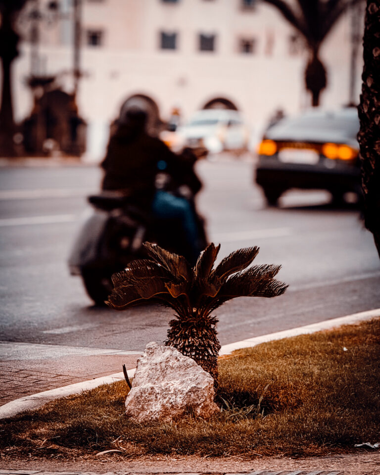 Photo by Rachid Goghrod