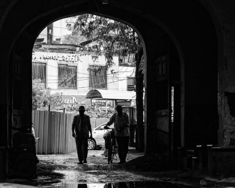 Photo by Sai Harsha