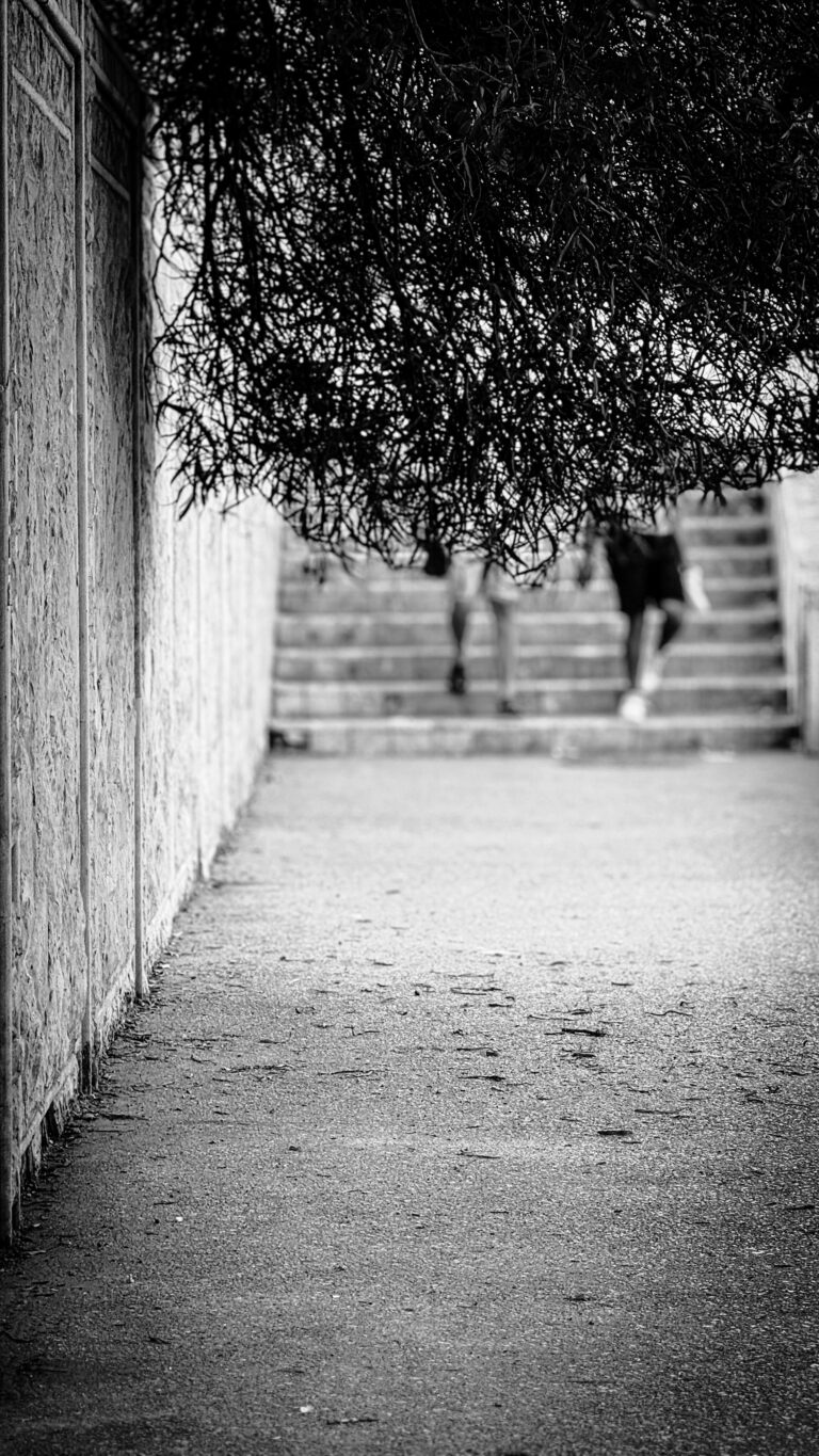 Photo by Rachid Goghrod