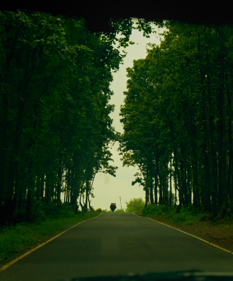 Photo by Monojit Bhattacharya