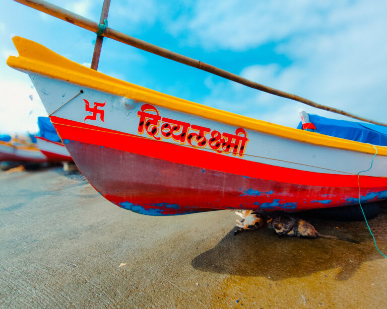 Photo by Sameer Shah
