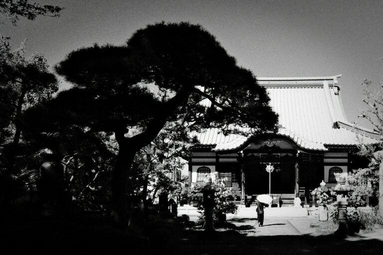 Photo by Kotaro Iochi