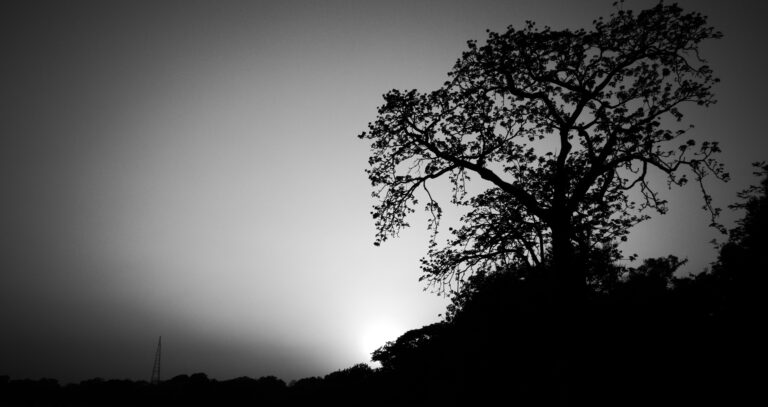 Photo by Monojit Bhattacharya