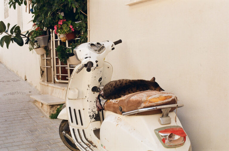 Photo by René Frommholz