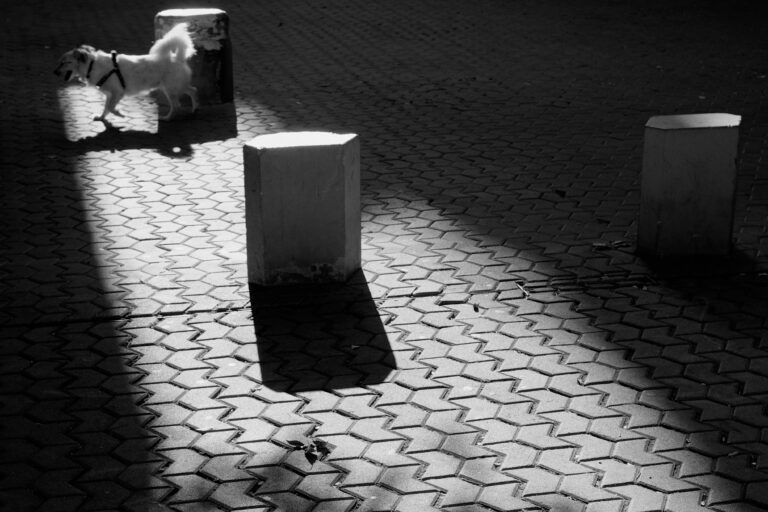 Photo by Pascal Hoerner