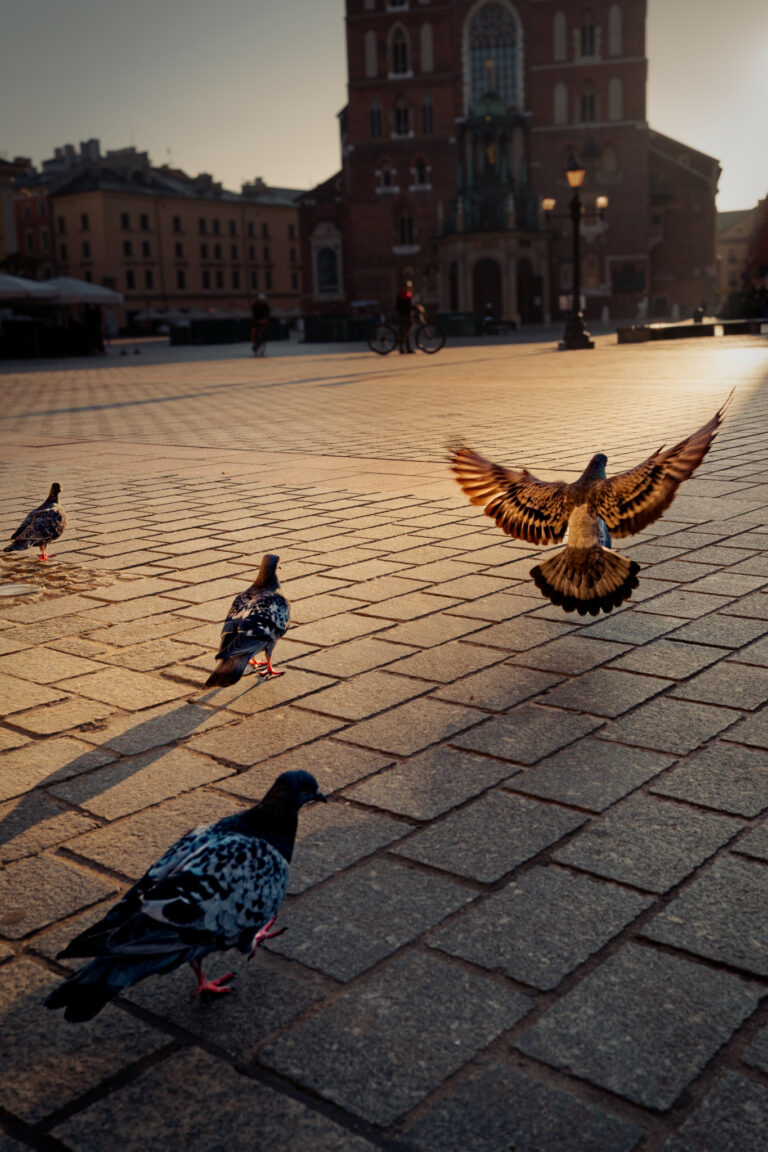 Photo by Trevor Morse