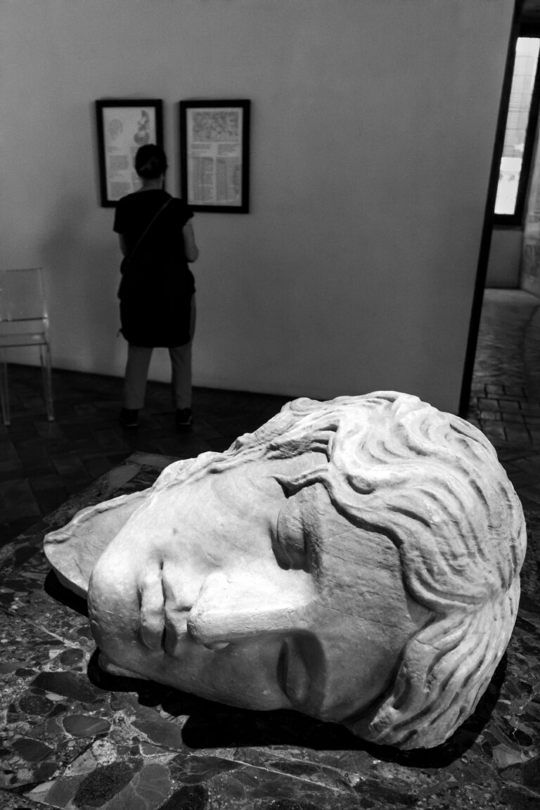 Photo by José Almeida