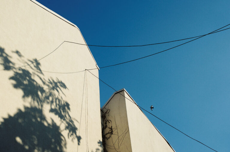 Photo by Mihajlo B.