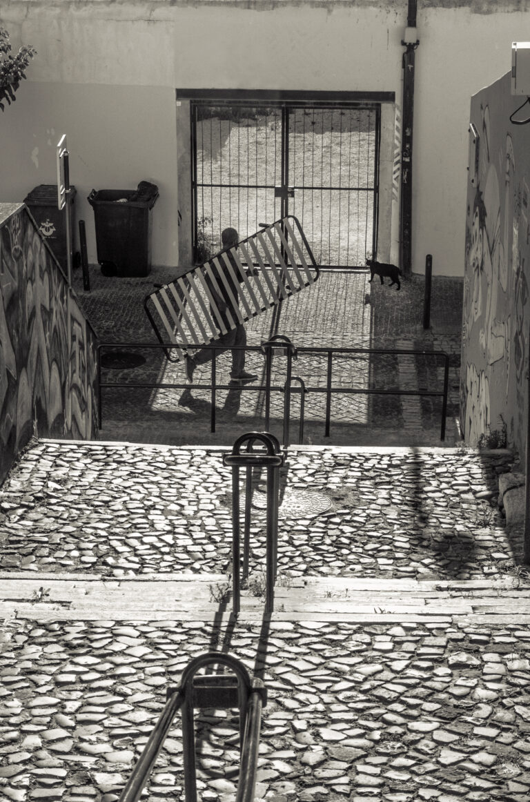 Photo by José Almeida