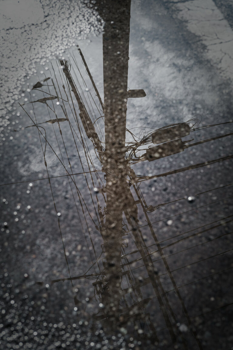 Photo by Kotaro Iochi