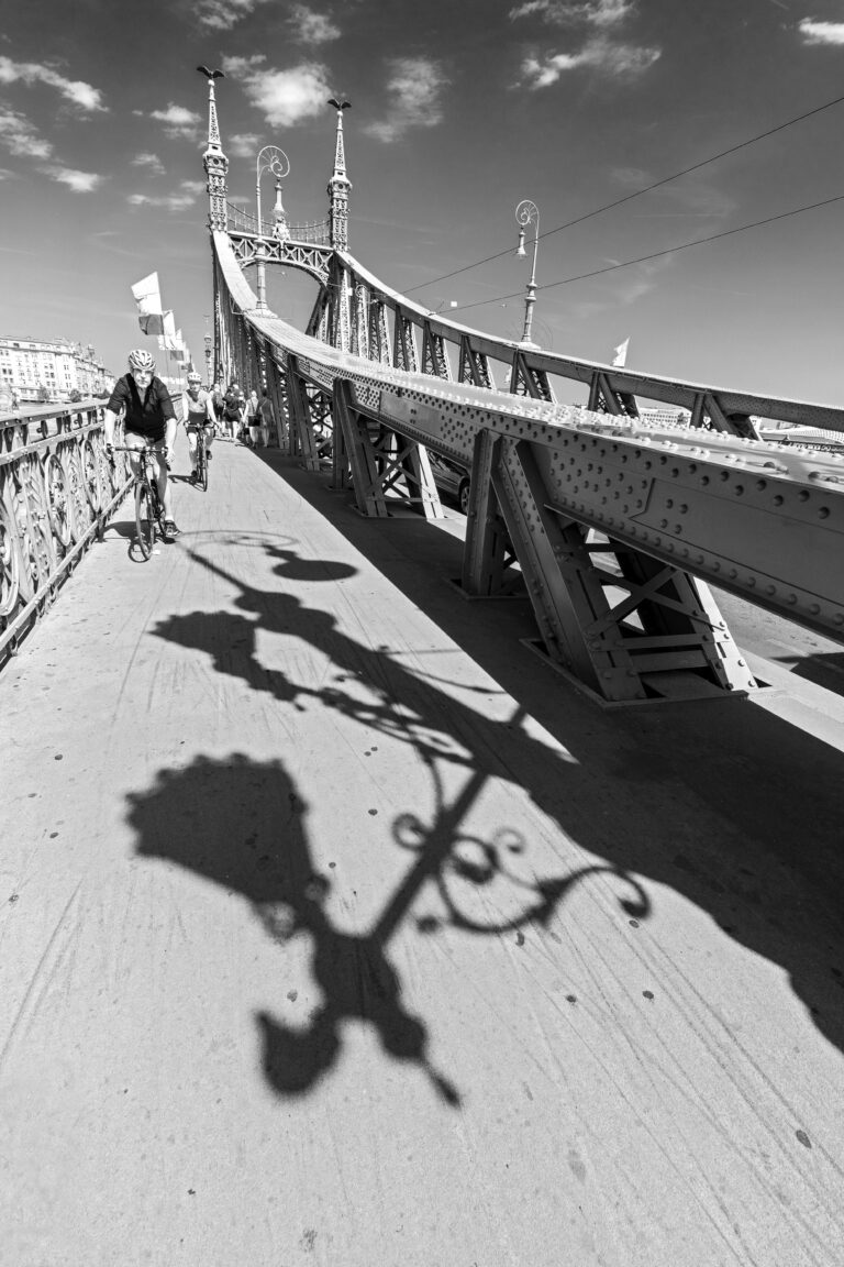 Photo by José Almeida
