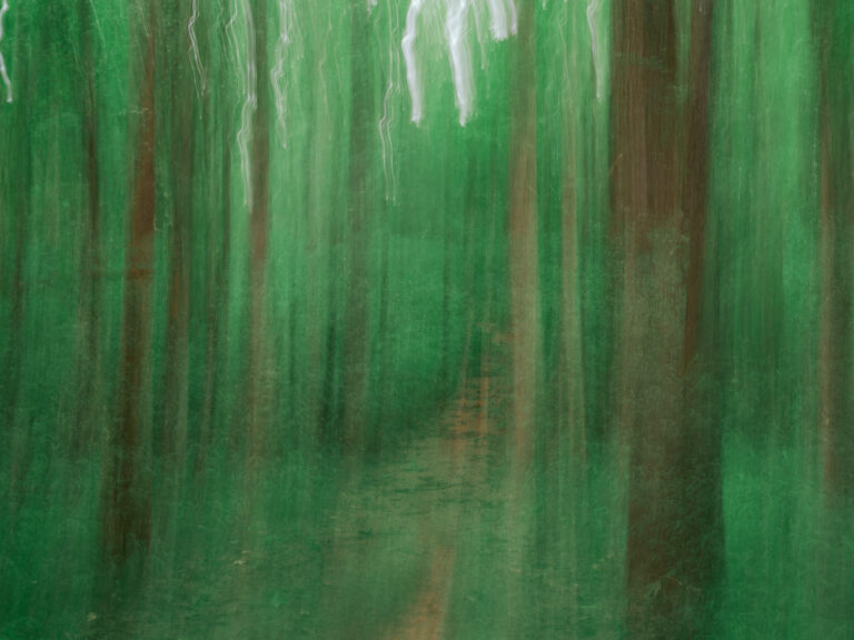 Photo by Yong-moon Lee