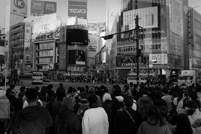 Photo by Kotaro Iochi