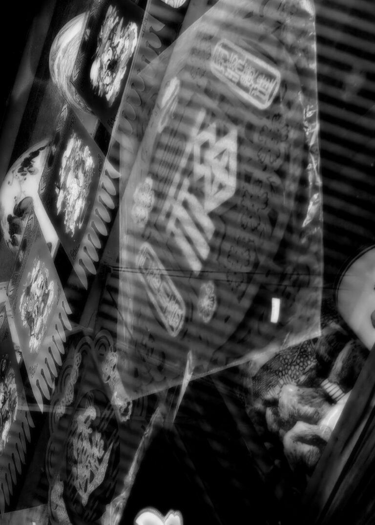 Photo by David Rockwood