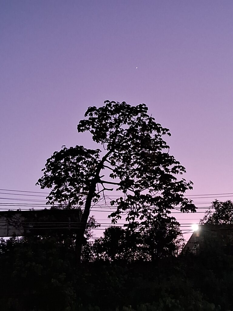 Photo by Tiago Gomes