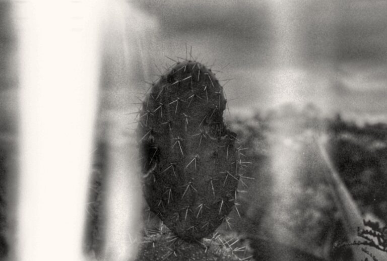 Photo by Adrian Romero