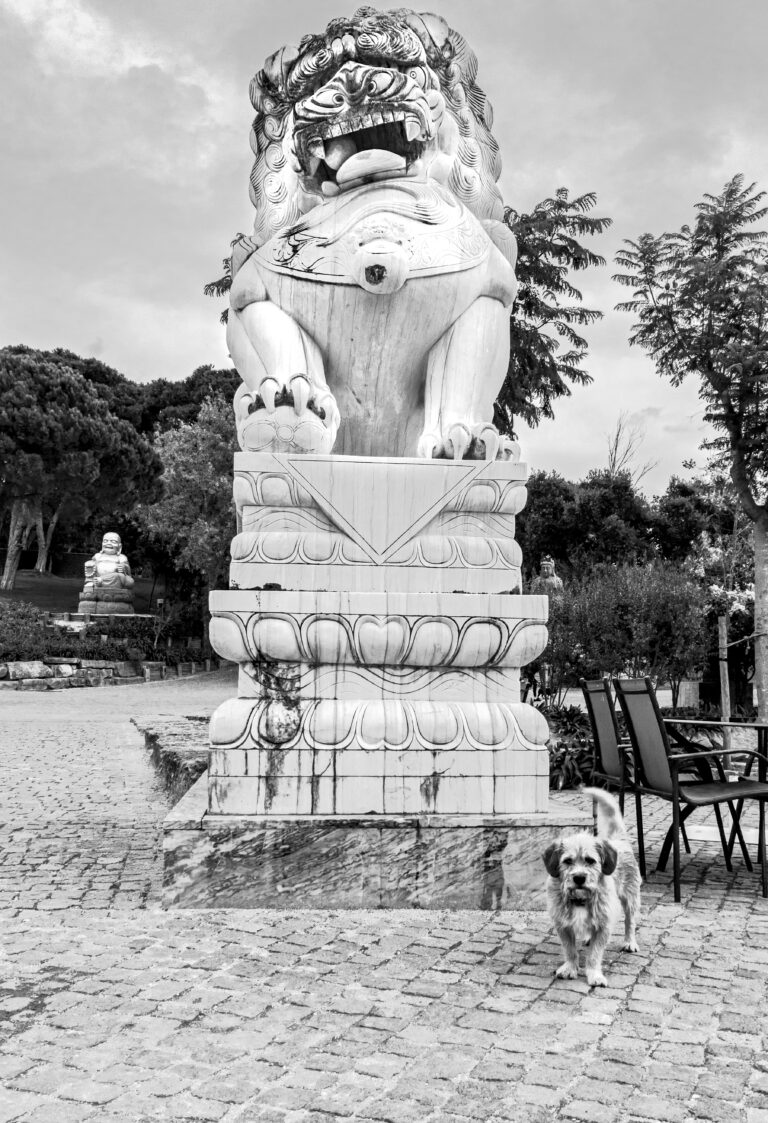 Photo by José Almeida