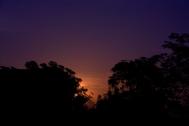 Photo by Dhruv Coppisetti
