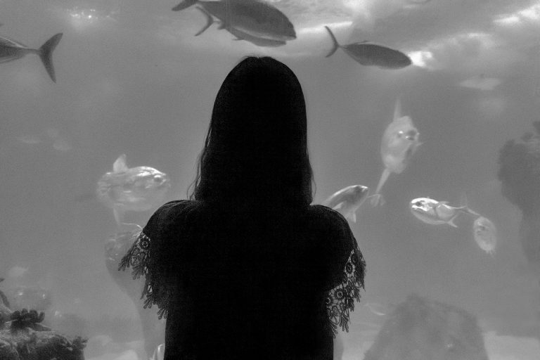 Photo by José Almeida