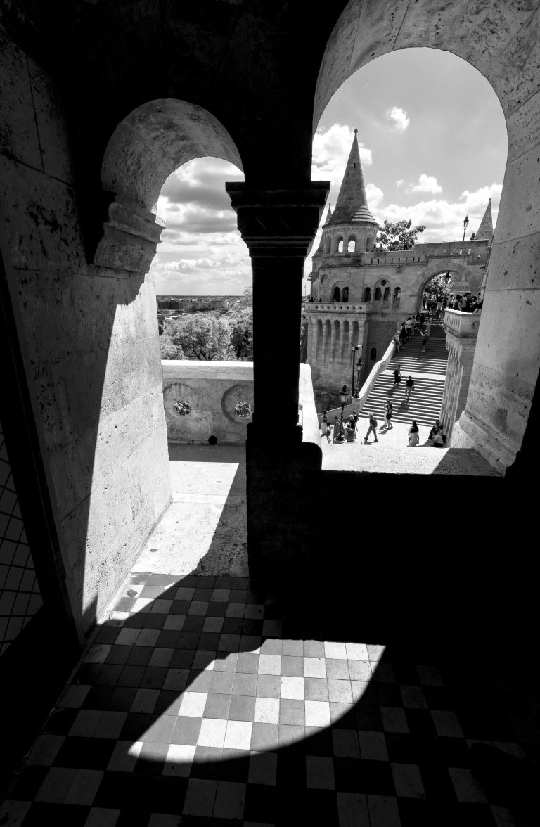 Photo by José Almeida