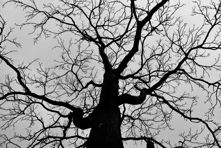 Photo by Jorj K