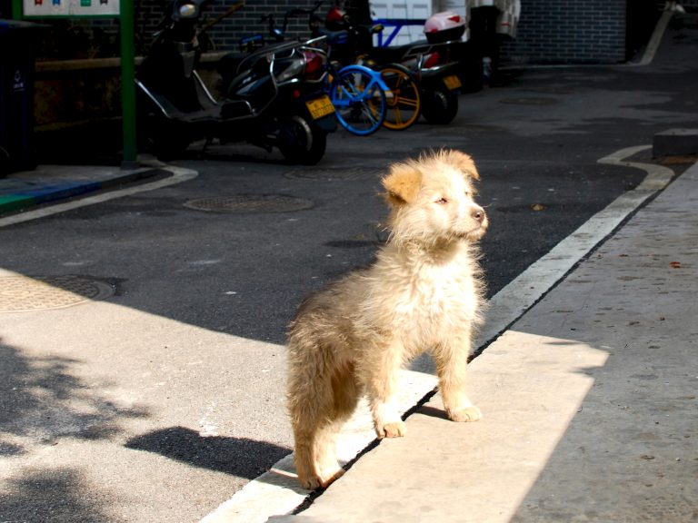 Photo by Jouji Can