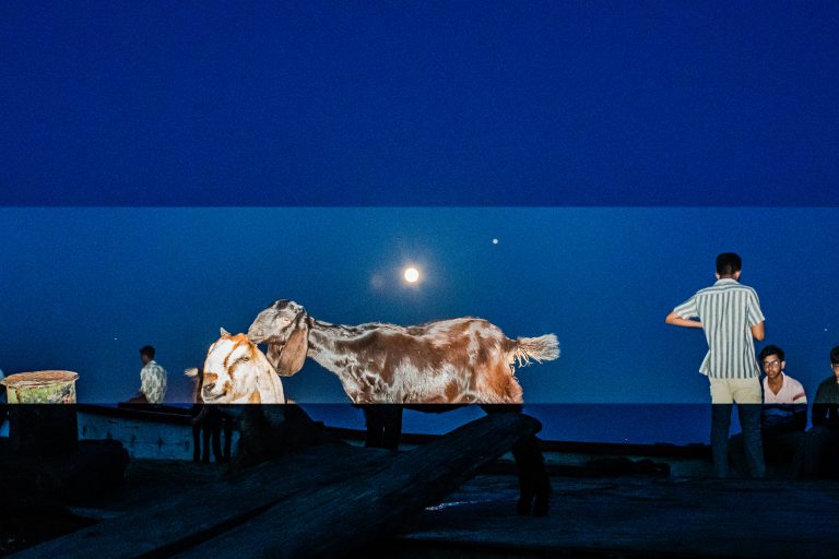 Photo by Mustavi Taofee