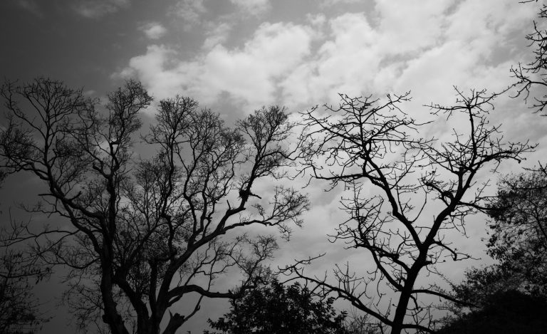Photo by Monojit Bhattacharya
