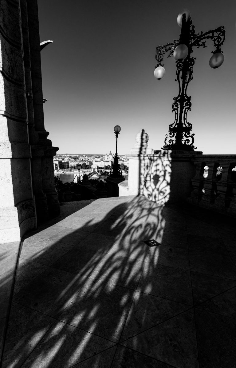 Photo by José Almeida