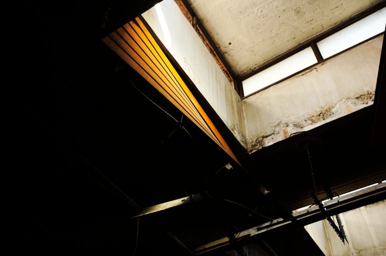 Photo by Mihajlo B.