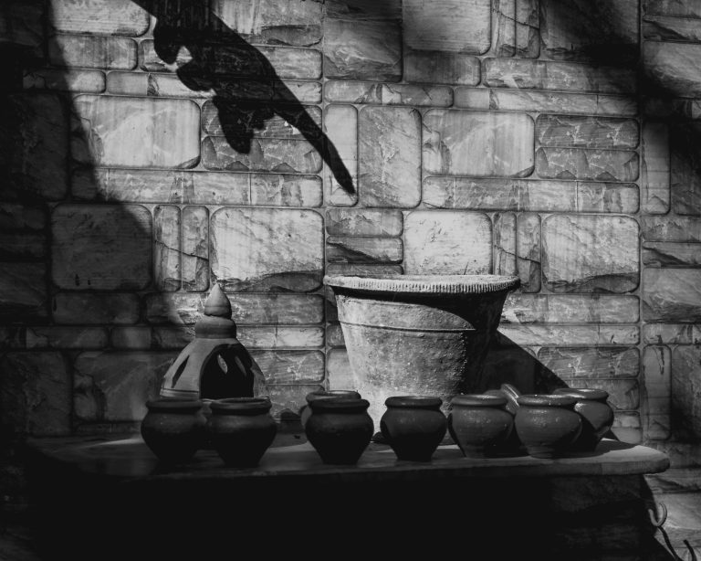 Photo by Sameer Shah