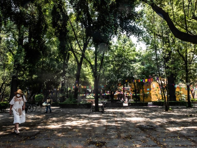 Photo by Oscar Rubén Olvera García