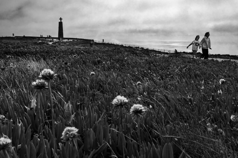 Photo by José Almeida