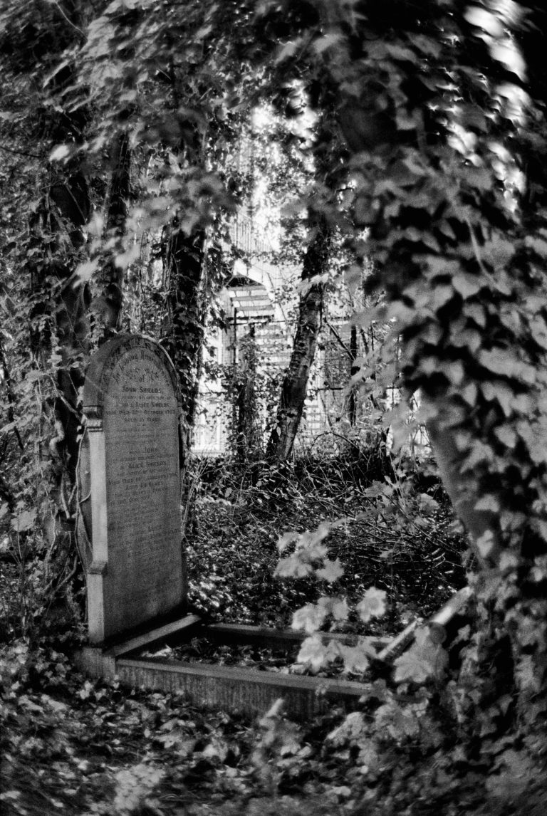 Photo by Paul Brolan