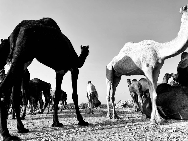 Photo by Dishant Jaisinghani