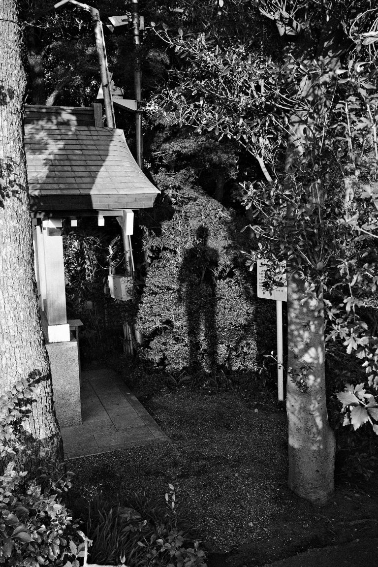 Photo by Kotaro Iochi