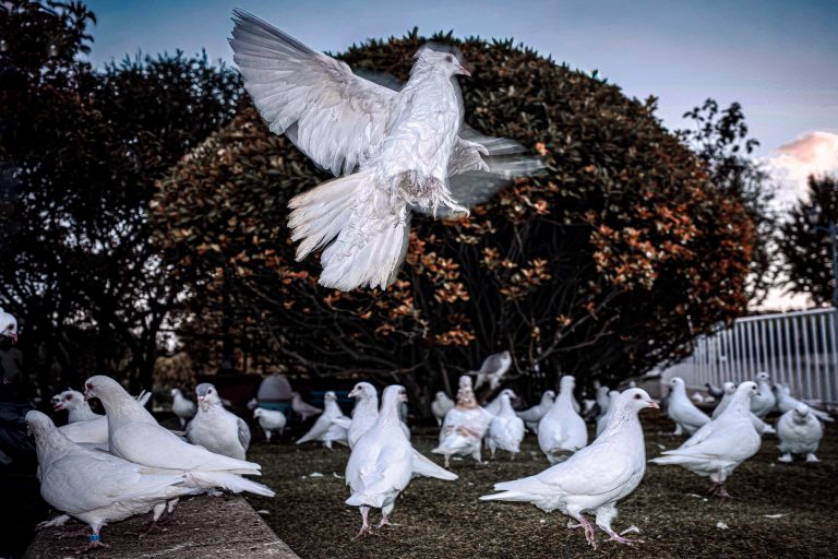 Photo by Alex 艾老师
