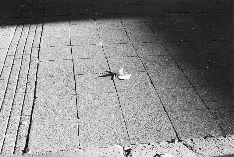 Street photo in Krefeld, Germany by Lothar Ahnert
