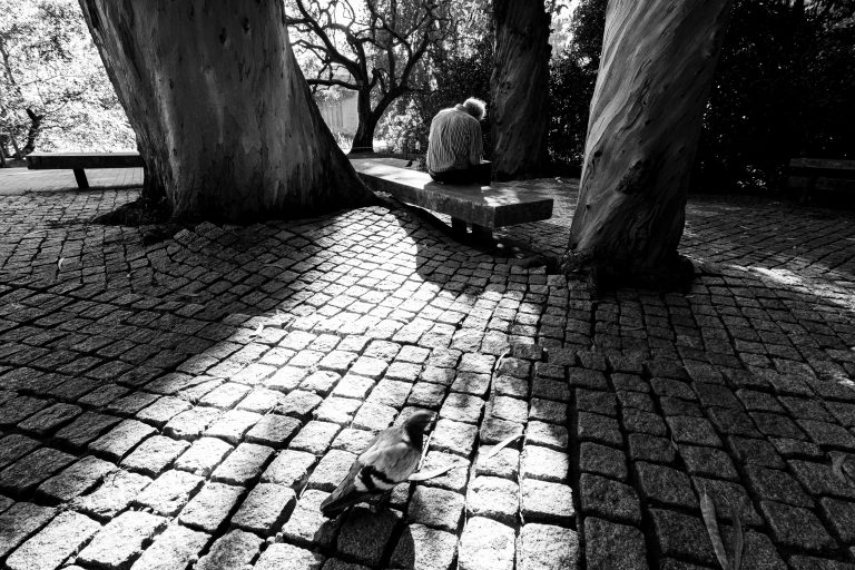 Photo by José Almeida