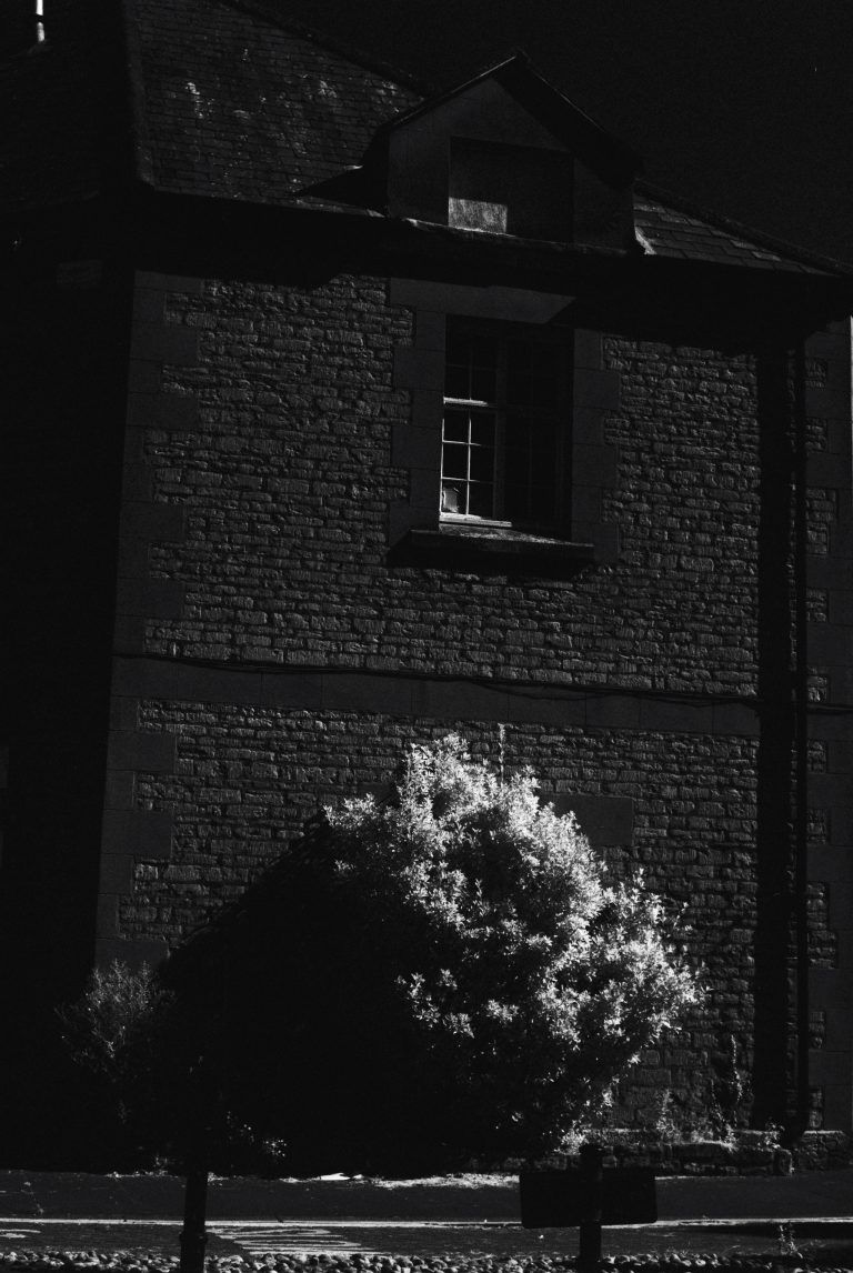 Photo by Colin Garrard