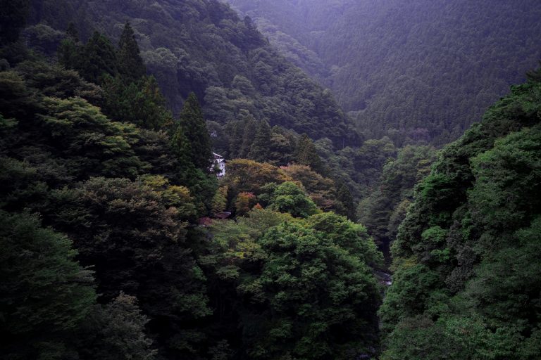 Photo by Eiji Kuwahara