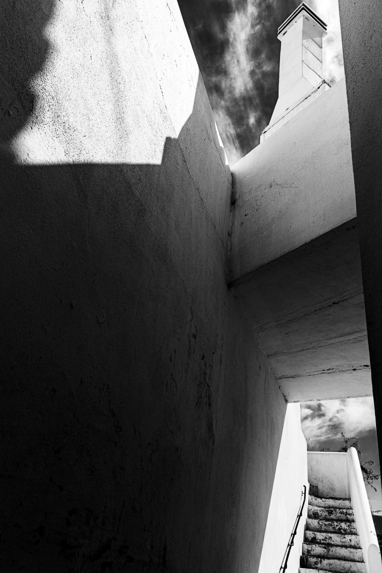Photo by José Almeida