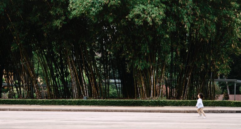 Photo by Hung Pham