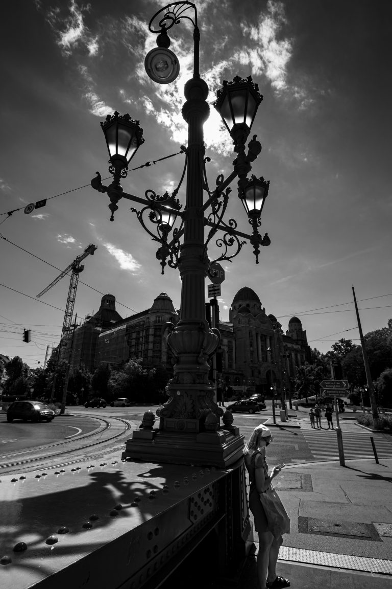 Photo by José Almeida