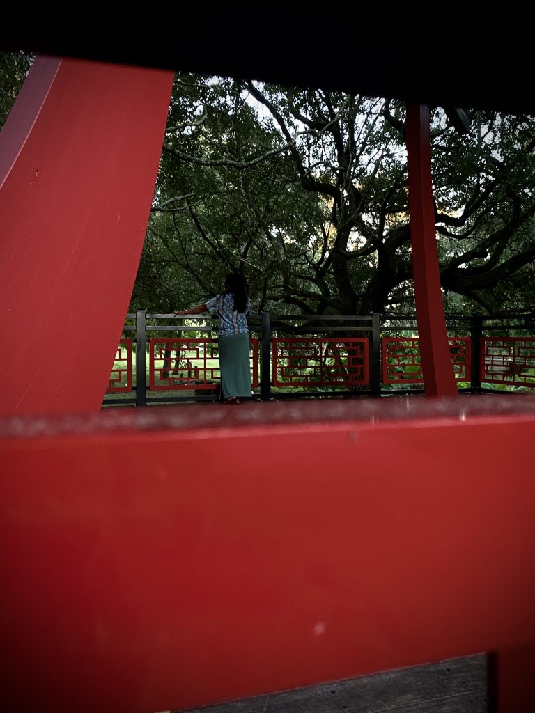 Street photo in Lakeland, United States by Elijah
