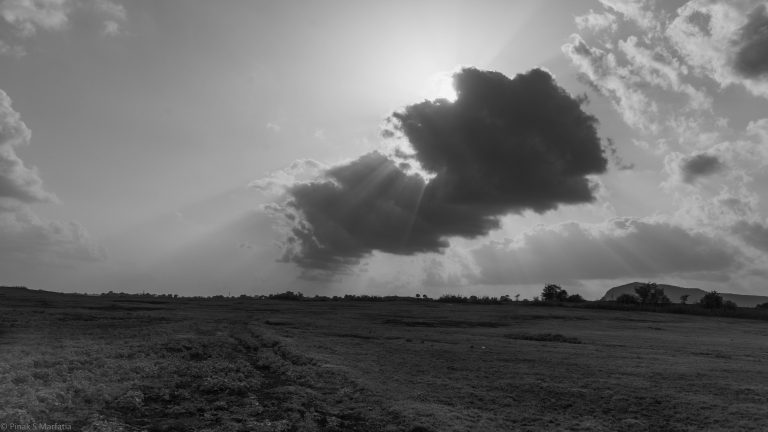 Photo by Pinak Marfatia