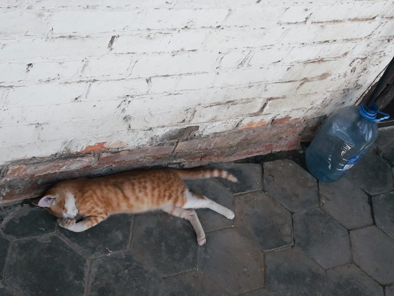 Street photo in Ashgabat, Turkmenistan by V. L.